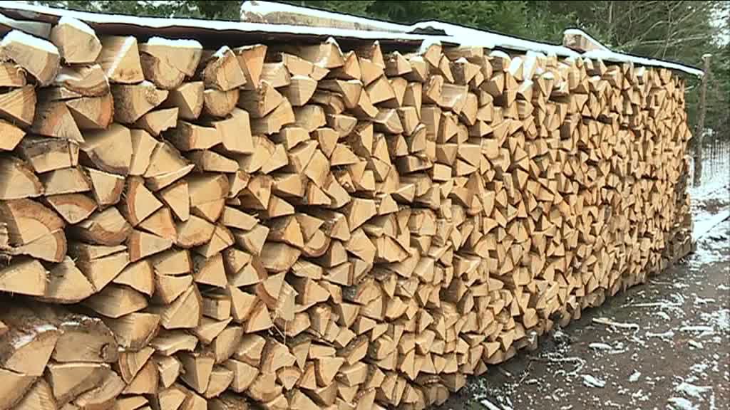 Le bois de chauffage, une solution d'avenir ?