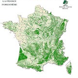 Gestion durable des forêts : des fonctions écologiques à valoriser Gestion durable des forêts : des fonctions écologiques à valoriser